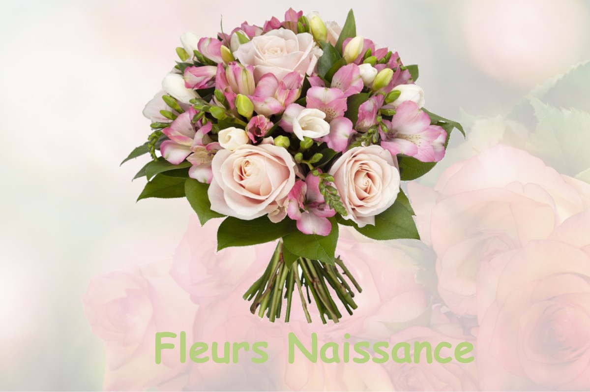 fleurs naissance ROGNES