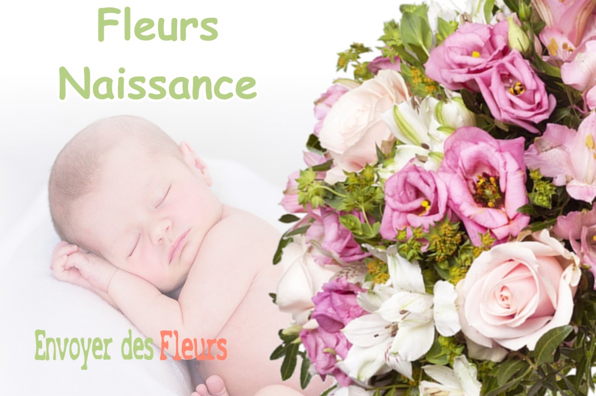 lIVRAISON FLEURS NAISSANCE à ROGNES